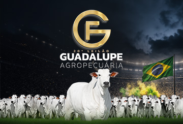 20º LEILÃO GUADALUPE AGROPECUÁRIA - TOUROS